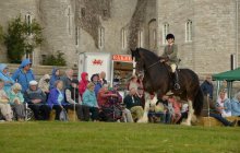 North Wales Shire Horse Society Show 2014 - inside the ring