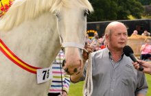 North Wales Shire Horse Show 2015
