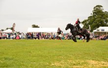 North Wales Shire Horse Show 2015