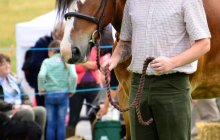 North Wales Shire Horse Society Open Day 2013 - Arfon Edwards