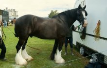 Bodelwyddan Open Day 2011