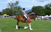 Bodelwyddan Open Day 26 August 2012