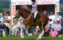 Bodelwyddan Open Day 26 August 2012