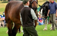 North Wales Shire Horse Society Open Day 2013 - Arfon Edwards