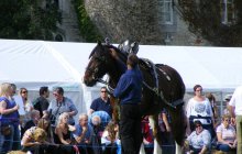 Bodelwyddan Open Day 26 August 2012