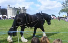 Bodelwyddan Open Day 26 August 2012