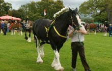 Bodelwyddan Open Day 2011