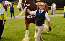 North Wales Shire Horse Show 2015