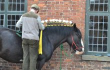 Erddig Shires - Sunday 22nd April