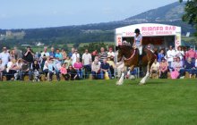 Bodelwyddan Open Day 26 August 2012