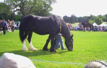NWSHS 26 August 2012